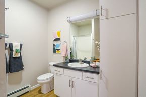 Sheboygan Falls apartment for rent - a bathroom with a sink and a toilet and a mirror