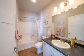 Sturgeon Bay apartment for rent - a bathroom with a sink and a toilet and a shower