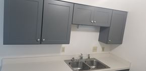 Wilmington apartment for rent - a kitchen with two sinks and gray cabinets