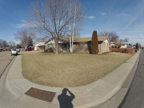 Longmont apartment for rent - A residential street with houses and parked cars.