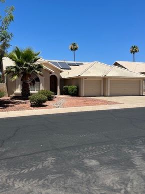 Glendale house for rent - a house with a palm tree in front of it