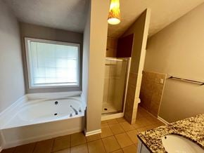 Lawrenceville house for rent - a bathroom with a tub and a sink and a shower