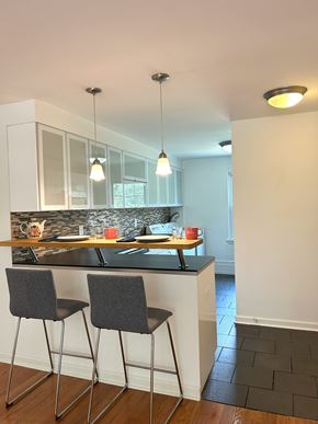 Ardmore apartment for rent - A kitchen with a bar area and two chairs.