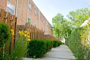 Ardmore apartment for rent - A long pathway with a wooden fence on the left and a green hedge on the right.