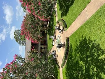 Alexandria apartment for rent - a backyard with two cars parked on the grass