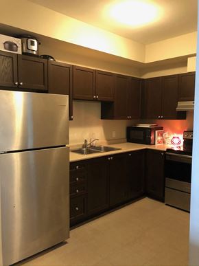 Oshawa apartment for rent - a kitchen with stainless steel appliances and black cabinets