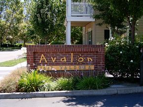 Davis apartment for rent - Avalon Monument
