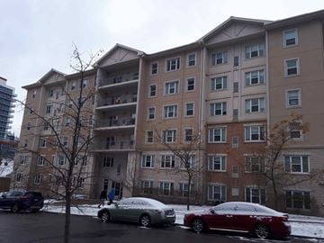 Waterloo apartment for rent - Student Rooms @ 251 Lester Street, Suite 605, Waterloo