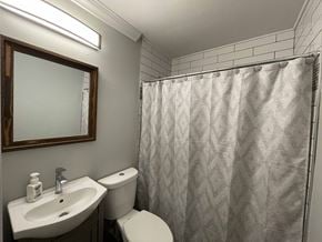 Simpsonville house for rent - a bathroom with a shower and a sink and a toilet