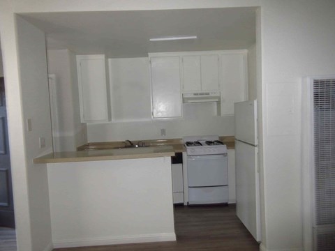 Floor plan for studio, 1 bath, 445 sqft