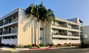 Long Beach apartment for rent - A building with a palm tree in front of it.
