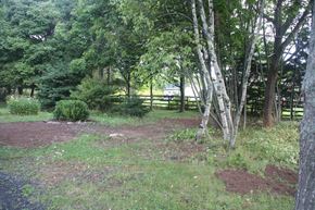 Westville apartment for rent - a clearing in the woods with trees and a fence