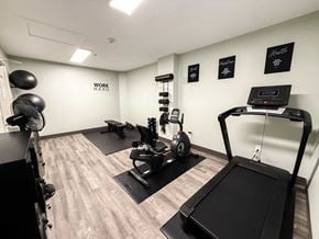 Shelby Township apartment for rent - A gym with a treadmill, weights, and exercise balls.