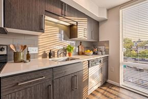 Seattle apartment for rent - Kitchen counter with dark textured wood cabinets, white quartz countertop, undermount sink, and dishwasher.