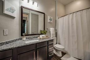 Frisco house for rent - a bathroom with a toilet and a sink and a mirror