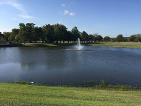 Irving house for rent - a fountain in the middle of a pond