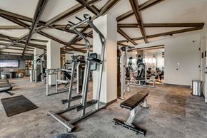 Mckinney house for rent - the gym is equipped with treadmills and other gym equipment