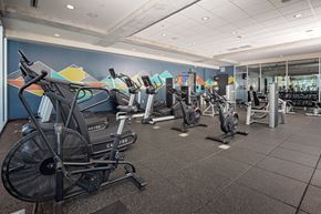 Austin apartment for rent - Rainey Street Apartments in Austin - SkyHouse Austin - Fitness Center