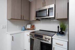 Austin apartment for rent - high rise apartments austin - SkyHouse Austin Living room