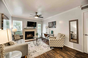 Irving house for rent - a living room with a couch and a chair and a fireplace