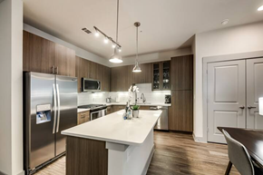 Richardson house for rent - a kitchen with stainless steel appliances and a white counter top
