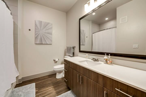 Richardson house for rent - a bathroom with a sink and a toilet and a mirror