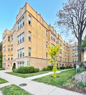 Oak Park apartment for rent - A yellow tree stands in front of a tan building with a green sign on the front.