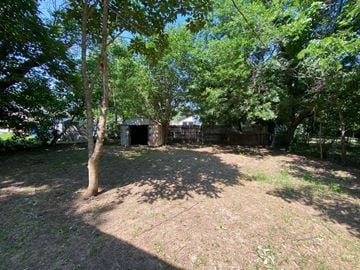 Tulsa house for rent - A tree stands in a yard with a small building behind it.