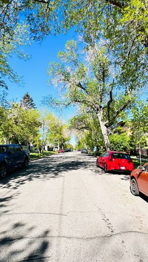 Calgary apartment for rent - a street with cars parked on the side of a tree