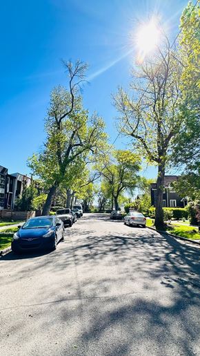 Calgary apartment for rent - a street with cars parked on the side of the road