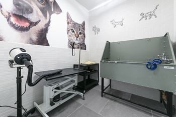 Pet spa