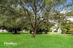Cape Coral house for rent - a tree in the middle of a grass field