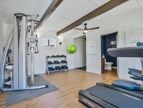 Santa Rosa apartment for rent - a home gym with exercise equipment and a green ball in the corner