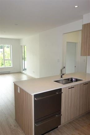 North Vancouver apartment for rent - A kitchen with a sink and a dishwasher.