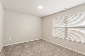 Winona apartment for rent - a bedroom with a large window and a carpeted floor