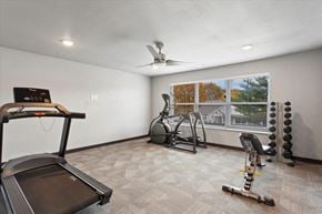 Winona apartment for rent - the gym in the owners suite has a treadmill and weights
