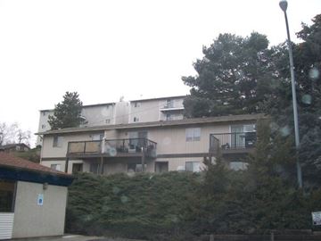 Pullman apartment for rent - a large apartment building with trees in front of it