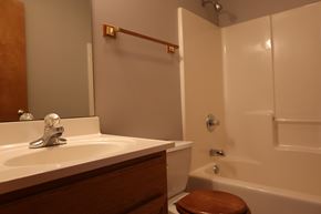 Merrillville house for rent - a bathroom with a sink and a shower and a toilet