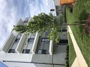Washington apartment for rent - the building in which the apartment is located