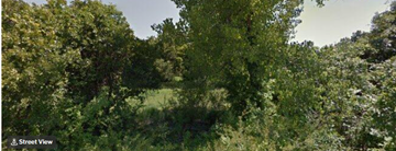 Newalla house for rent - a group of trees in a field