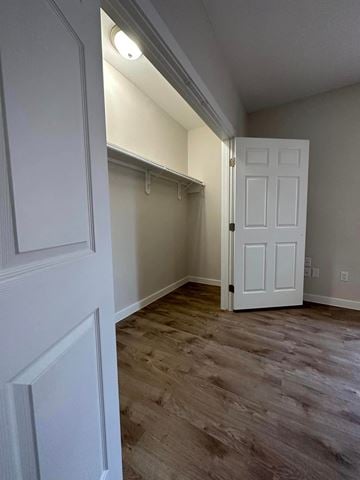 El Campo apartment for rent - a bedroom with a closet and a door open to a closet