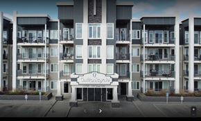 Edmonton apartment for rent - the building in which the apartment is located