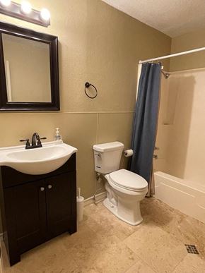 Snyder house for rent - A bathroom with a sink, toilet, and shower.