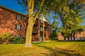 Williamston apartment for rent - A tree stands in front of a red brick building.