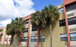 Miami apartment for rent - a group of palm trees in front of a building