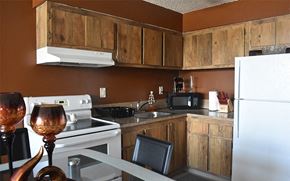 Miami apartment for rent - a kitchen with a stove refrigerator and sink