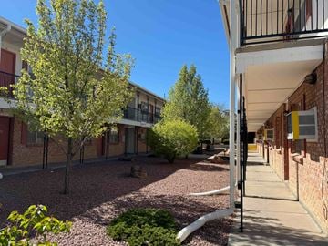 Gallup apartment for rent - A tree with green leaves stands in a courtyard between two buildings.