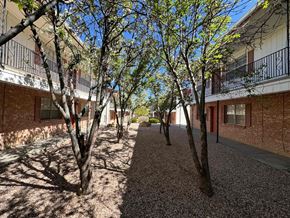 Gallup apartment for rent - A tree-lined walkway between two buildings.