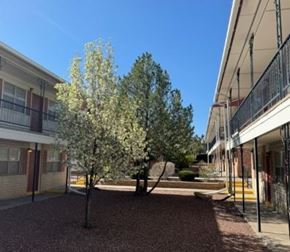Gallup apartment for rent - A tree with white blossoms stands in the middle of a gravel courtyard.