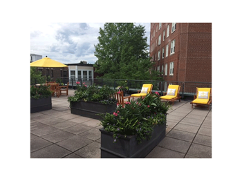 General roof deck with beautiful landscaping, providing leisure area for all residents